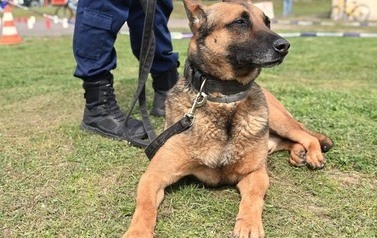 Og&oacute;lnopolski Turniej Wiedzy o Bezpieczeństwie Ruchu Drogowego 10