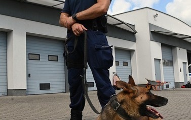 Akcja Honorowego Krwiodawstwa 14
