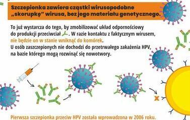 Powszechny program szczepień przeciw HPV 2