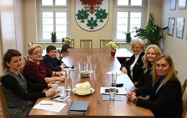 Rada ds os&oacute;b z niepełnosprawnością 1
