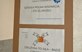"Razem przeciw przemocy r&oacute;wieśniczej" 33