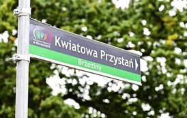 Projekt &bdquo;Terapia ogrodem&rdquo; w DPS w Brzezinach dobiegł końca! 23