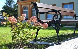 Nowa przestrzeń przy DPS w Brzezinach 15