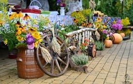 Dożynki &ndash; radość, tradycja i wsp&oacute;lne świętowanie 17