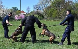 Powiatowe Eliminacje Konkursu &bdquo;Zabłyśnij na drodze wiedzą i umiejętnościami&rdquo; 36