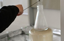 Nowoczesna szkoła z tradycjami! &ndash; Dzień Otwarty w Zespole Szk&oacute;ł nr 1 8