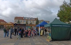 Edukacja ekologiczna &bdquo;Ekoaktywni&rdquo; w Zespole Szk&oacute;ł Nr 2 im. Noblist&oacute;w Polskichw Choszcznie 37