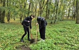 Edukacja ekologiczna &bdquo;Ekoaktywni&rdquo; w Zespole Szk&oacute;ł Nr 2 im. Noblist&oacute;w Polskichw Choszcznie 42