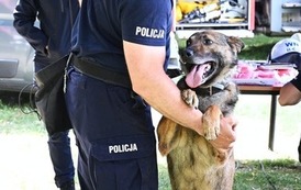 Rodzinny Piknik z Powiatowym Centrum Pomocy Rodzinie w Choszcznie 9