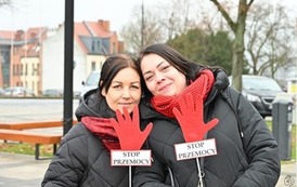&bdquo;Dzieciństwo bez przemocy&rdquo; &ndash; finał akcji 12