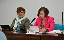 X Sesja Rady Powiatu Choszczeńskiego 8