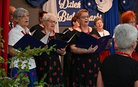 Obchody Międzynarodowego Dnia Białej Laski 10
