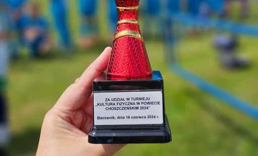 Zdjęcie do Turniej piłkarski ŻAK U9 i ORLIK U11